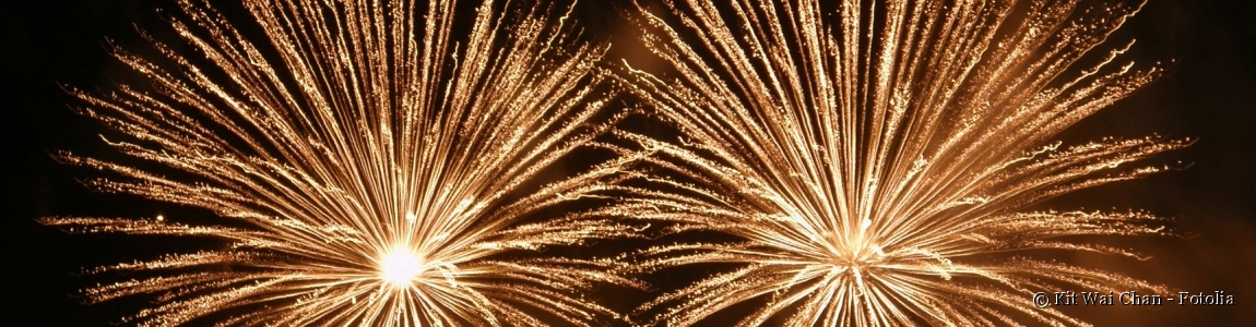 http://www.hirtzi-feuerwerke.at/data/image/thumpnail/image.php?image=164/hirtzi_feuerwerke_article_3202_0.jpg